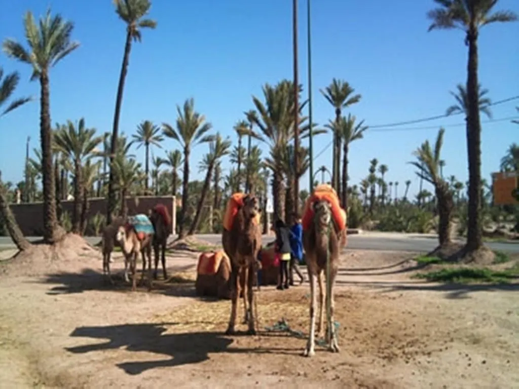 Riad Tahar Oasis Marrakesh